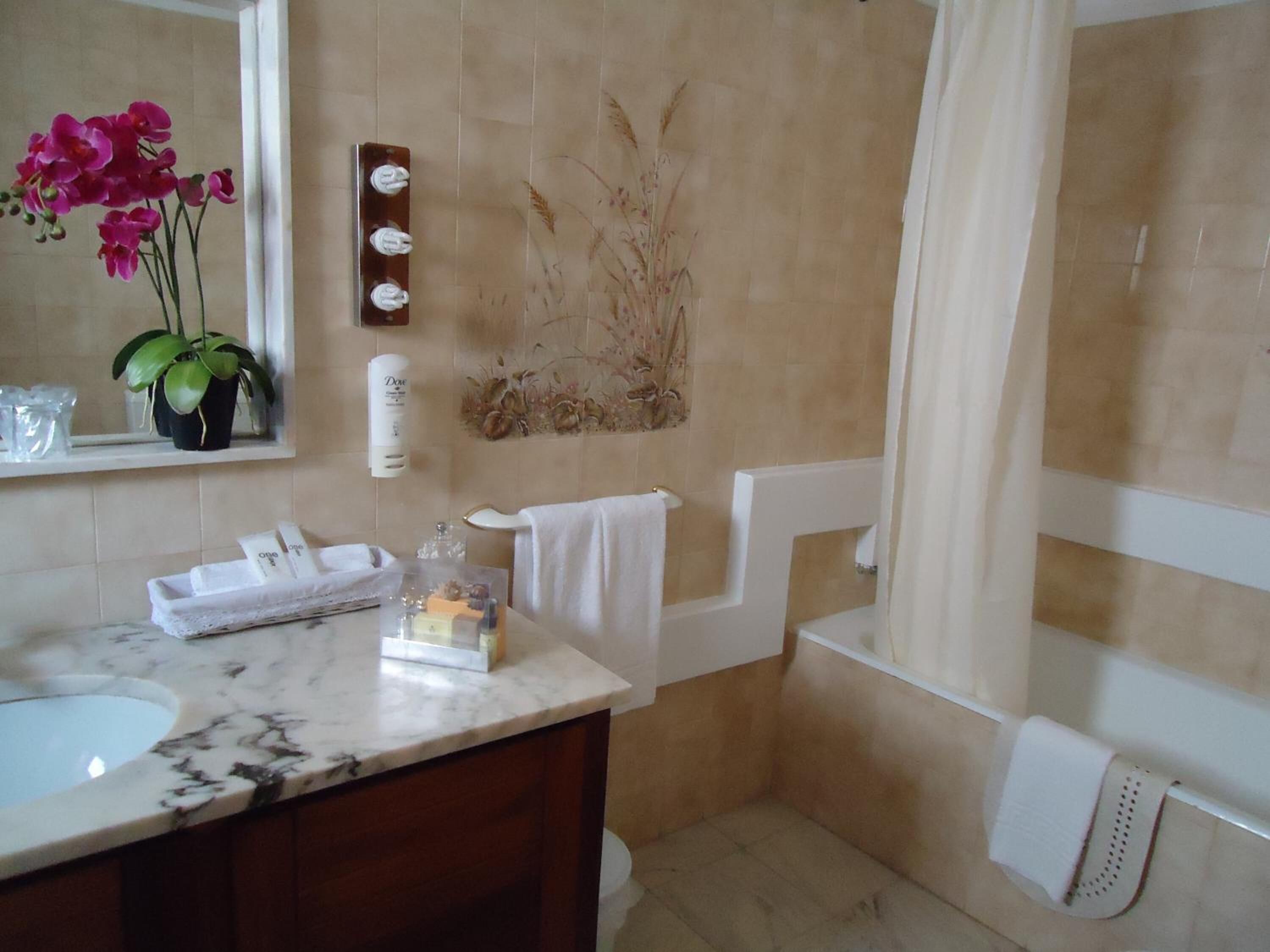 combined shower/bathtub, hair dryer, bidet, towels