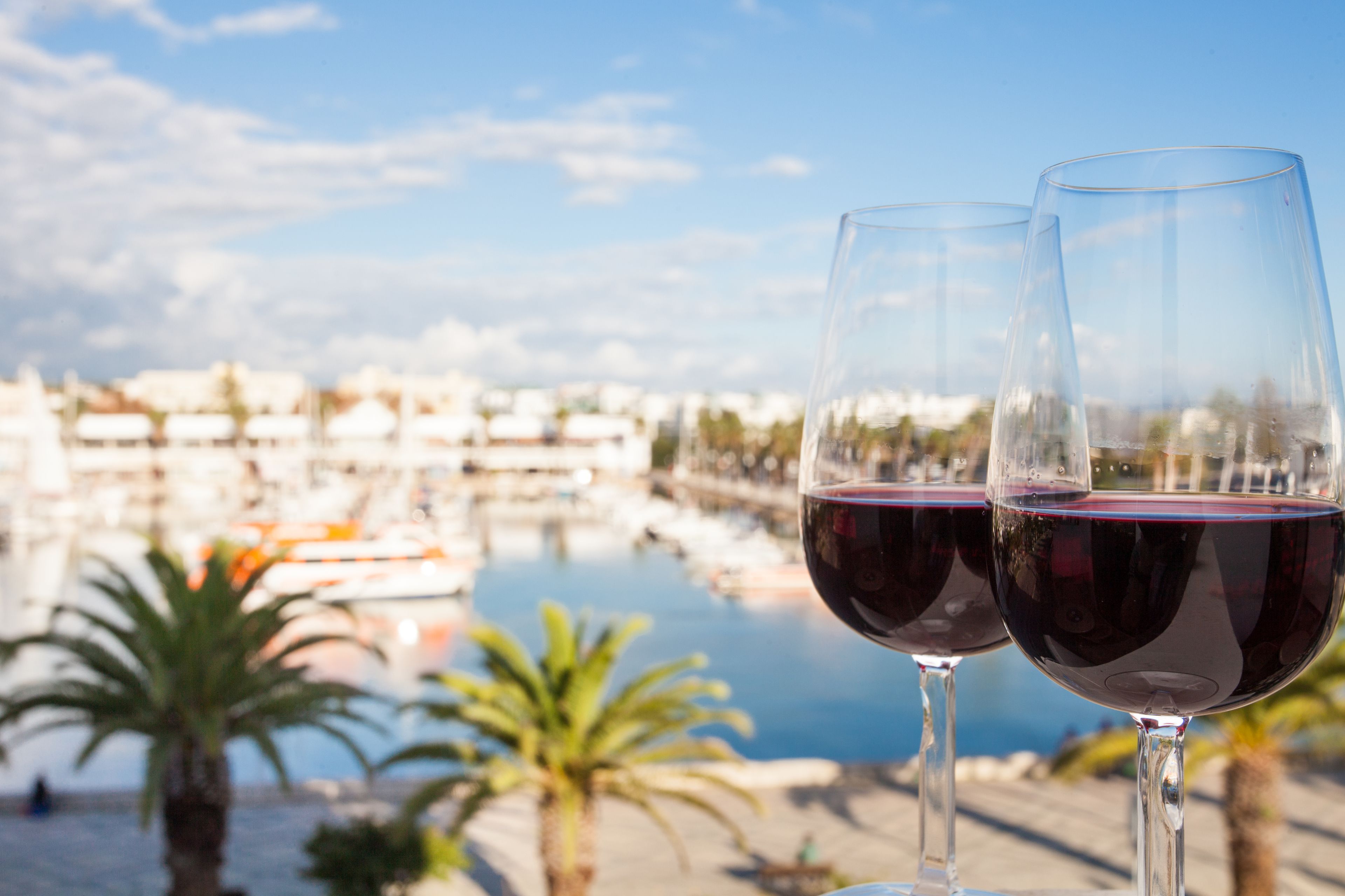 standard room, marina view | balcony view