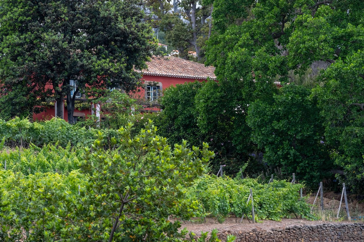 A red building with a tiled roof, surrounded by lush greenery and a vineyard.