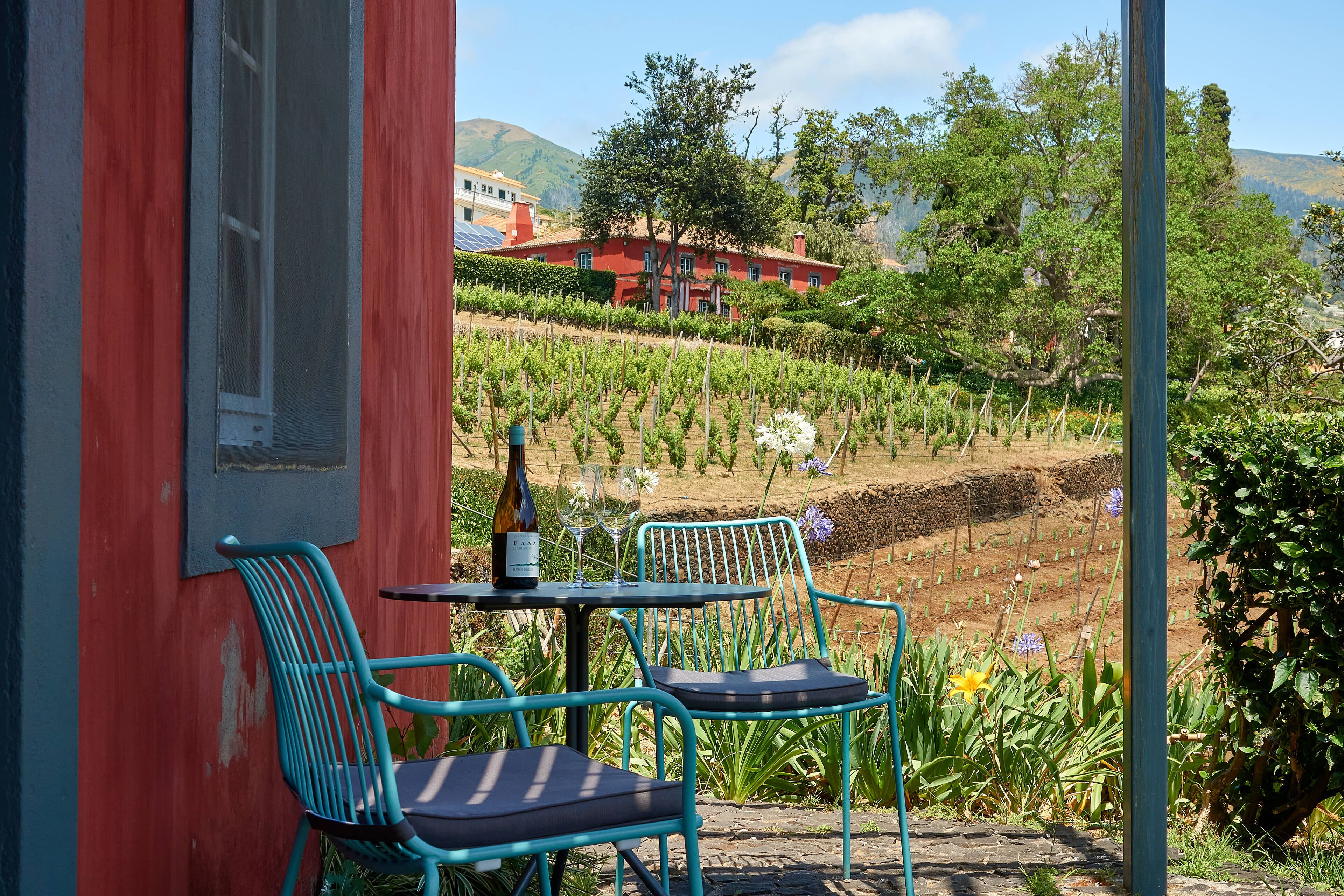 A red building with a table and two chairs outside, overlooking a vineyard.