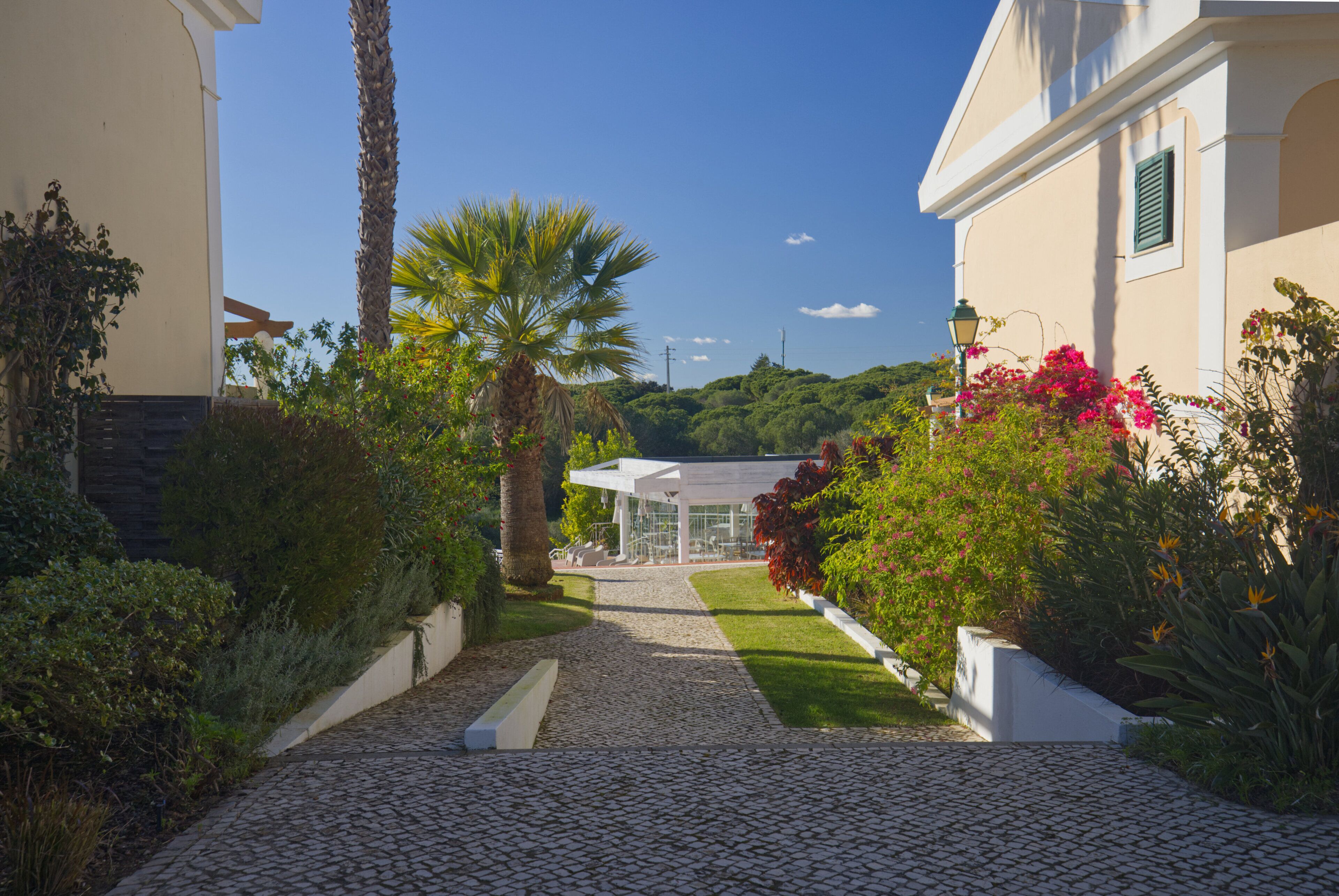 Foto - Cegonha Country Club