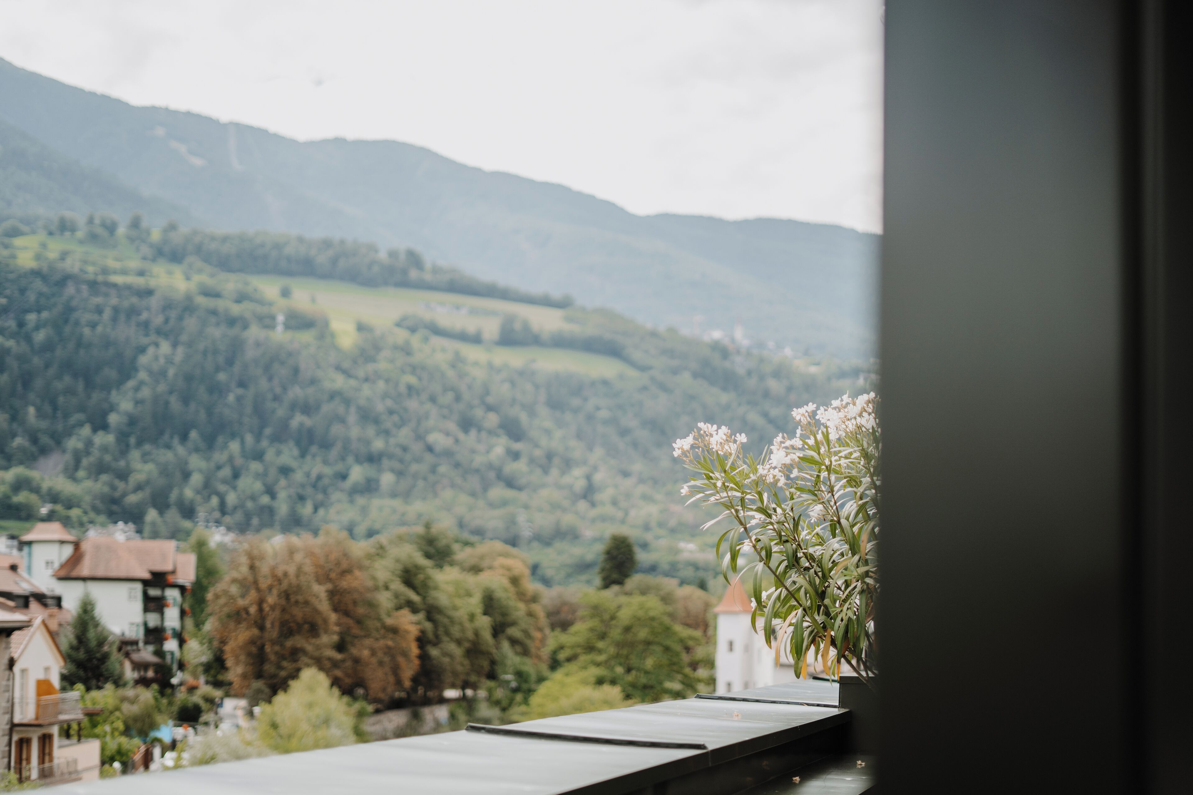 Photo - ADLER Historic Guesthouse
