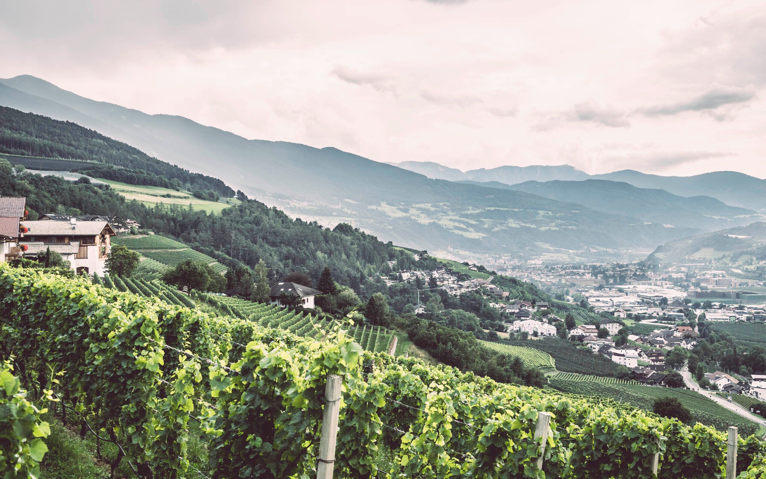 Photo - ADLER Historic Guesthouse