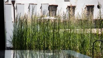 Terrace room | Terraza o patio