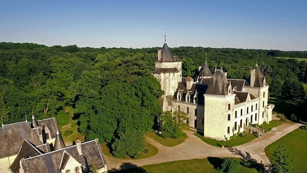 A large, historic castle with multiple towers and a well-maintained lawn, surrounded by dense forest. - Château de Ternay (Ternay)