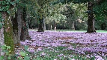 Fjallgöngur