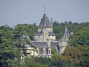 A historic castle with multiple towers and turrets, surrounded by dense forest. - Château de Ternay (Ternay)