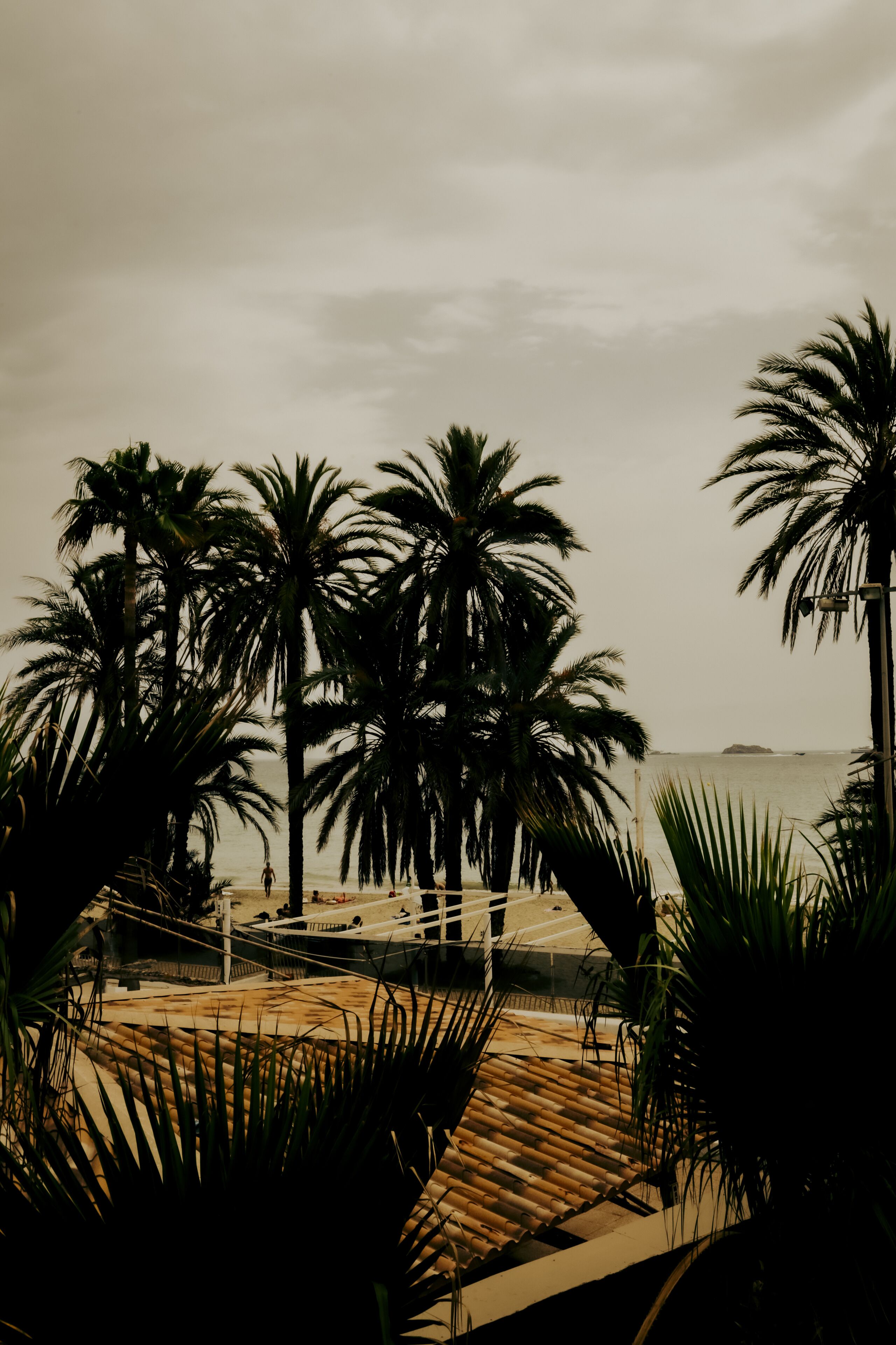 Una playa con palmeras y una terraza de madera.