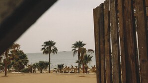 Eine Strandansicht mit Palmen, einem Holzzaun und freiem Blick auf das Meer.