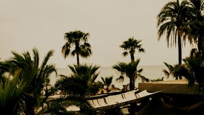 Blick auf einen Strand mit Palmen und einer Hängematte.