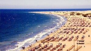 A beach with rows of sunbeds and umbrellas, a sandy shore, and the ocean. - Apartamentos Las Góndolas (San Bartolomé de Tirajana)