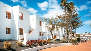 A modern building with white walls and multiple windows, surrounded by palm trees and cacti.