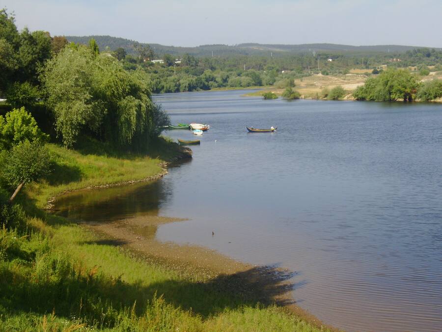 A river with boats and greenery along the banks.