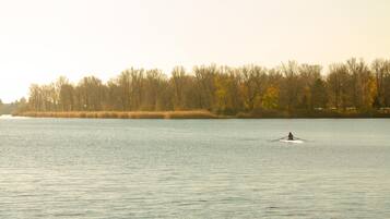 A calm lake with a single rowboat and a forested shoreline.