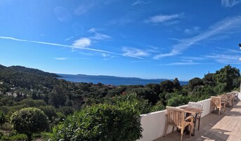 Vista desde la propiedad