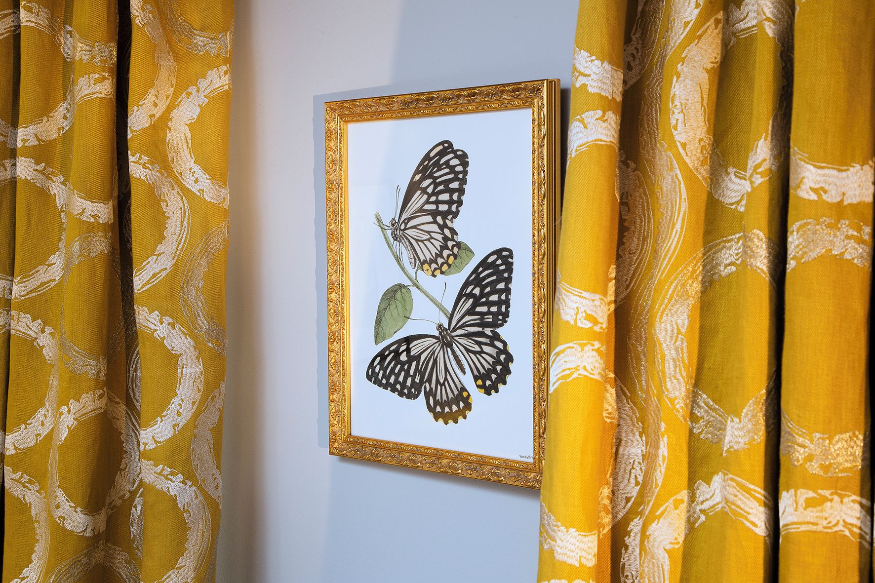 Une illustration botanique encadrée représentant des papillons, accrochée à un mur.