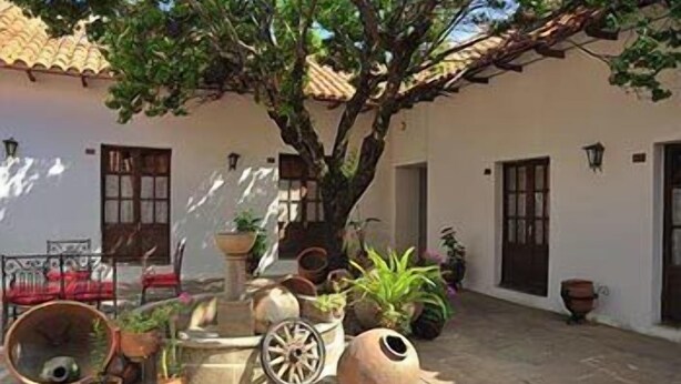 Un patio con un árbol grande, plantas en macetas y un área de estar rústica al aire libre.