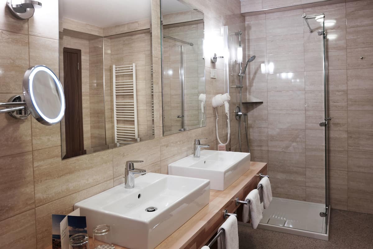 combined shower/bathtub, free toiletries, hair dryer, towels