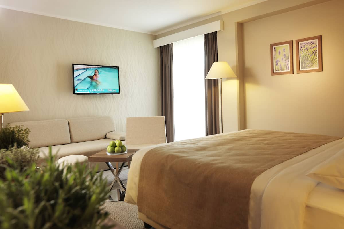 A hotel room with a bed, a sofa, a TV, a lamp, and a small table with apples.