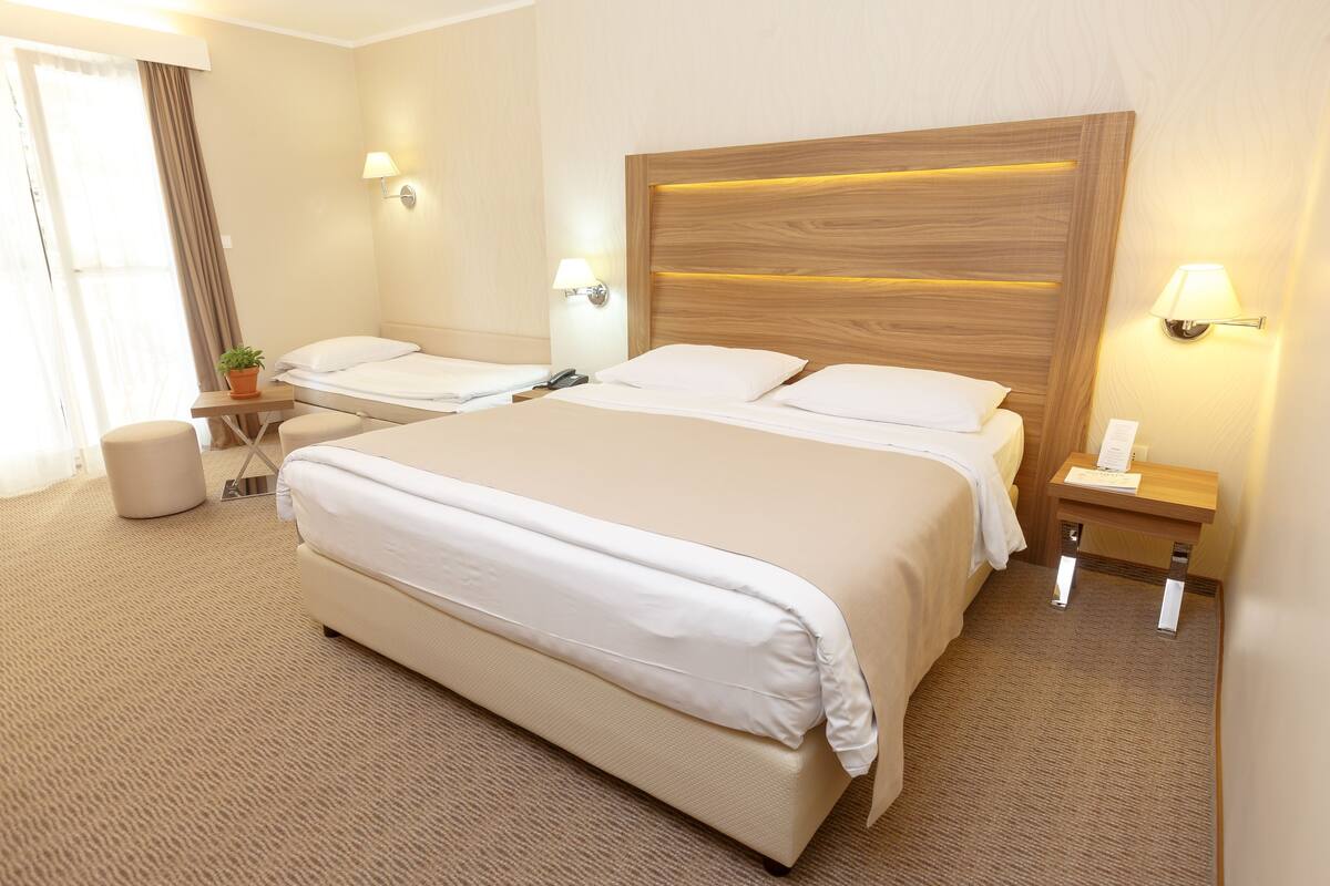 A hotel room with a large bed, a bedside table with a lamp, a small table with a plant, and a chair.