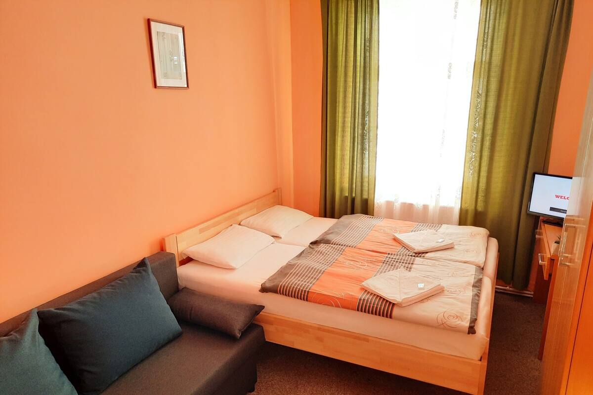 Una cama individual con estructura de madera, un sofá gris, un cuadro en la pared y un televisor sobre un mueble de madera.