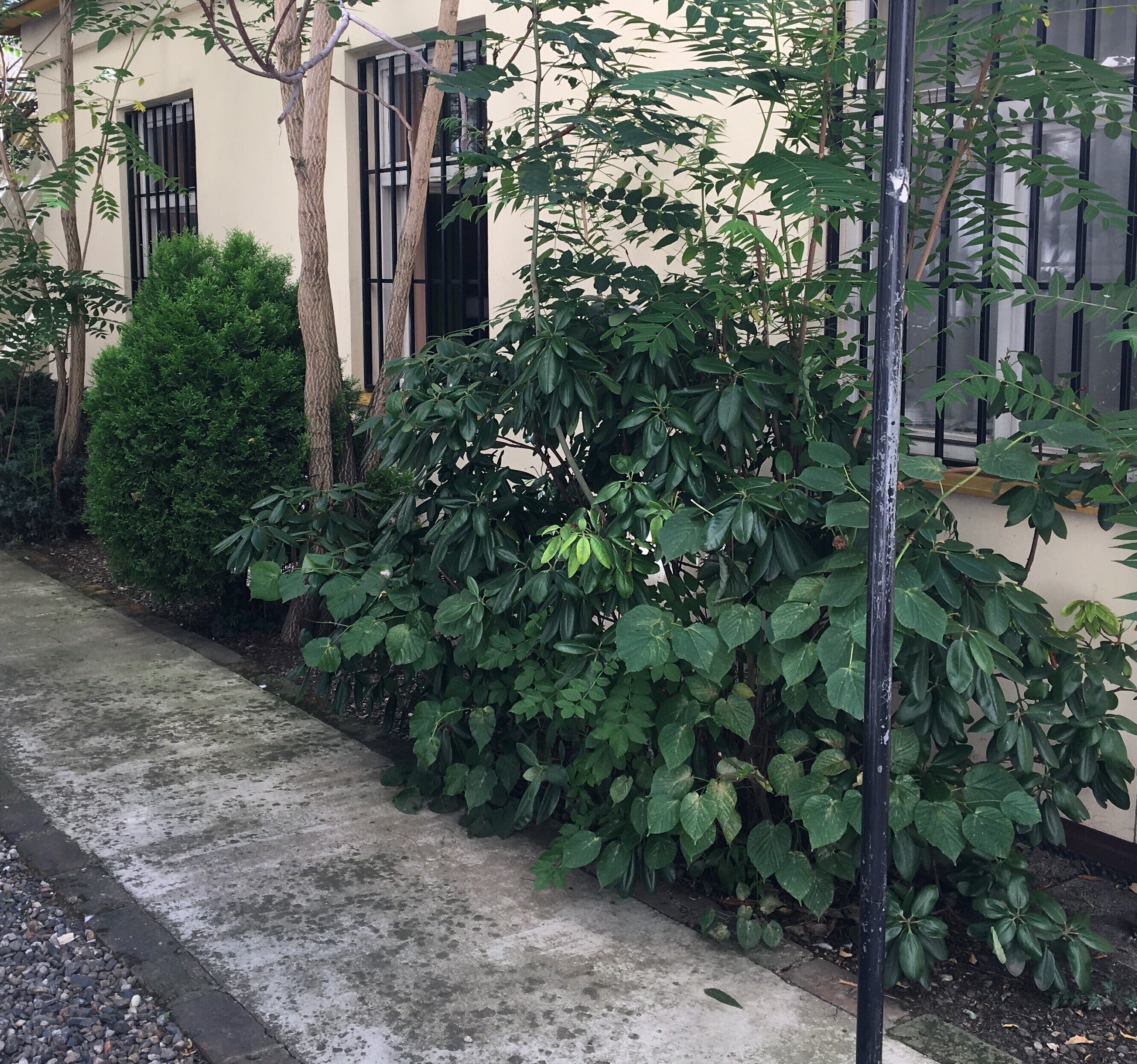 Pension City Center & L`Opera