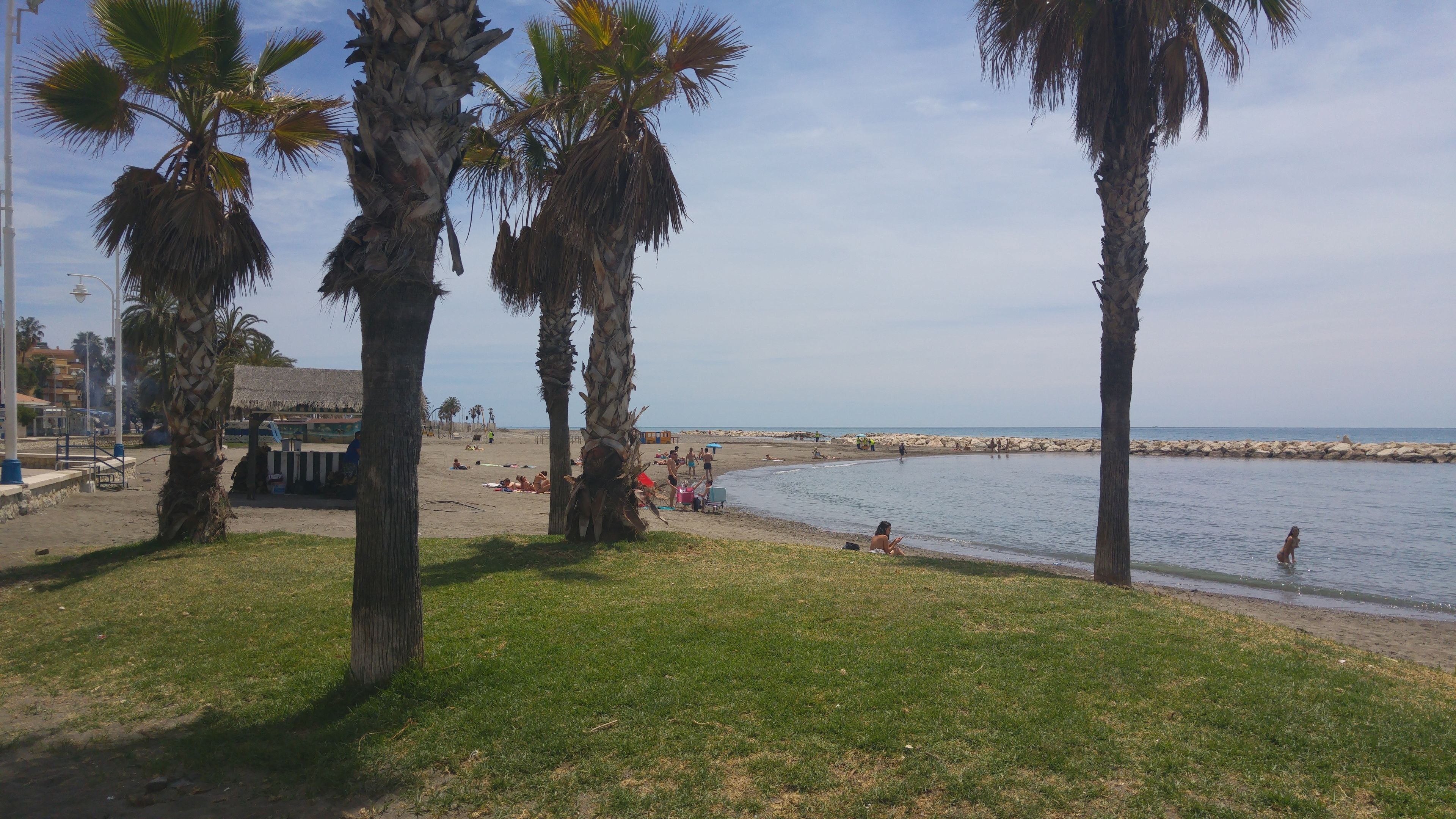 A beach with palm trees, a pier, and a rocky breakwater.