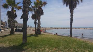 A beach with palm trees, a pier, and a rocky breakwater.