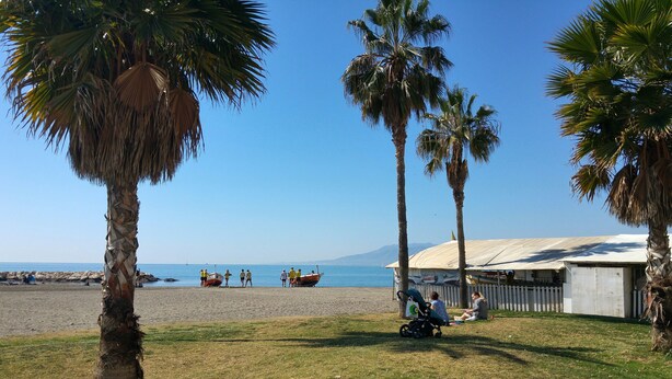 Una playa con palmeras, un bote y un edificio con techo blanco.