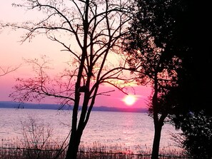 Un atardecer sobre una masa de agua con árboles silueteados contra el cielo.