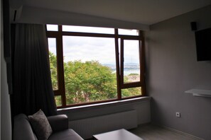 Deluxe Studio Suite, Terrace, Sea View