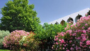 A garden with pink flowers and a large tree. - Residéal La Grande Motte (La Grande-Motte)