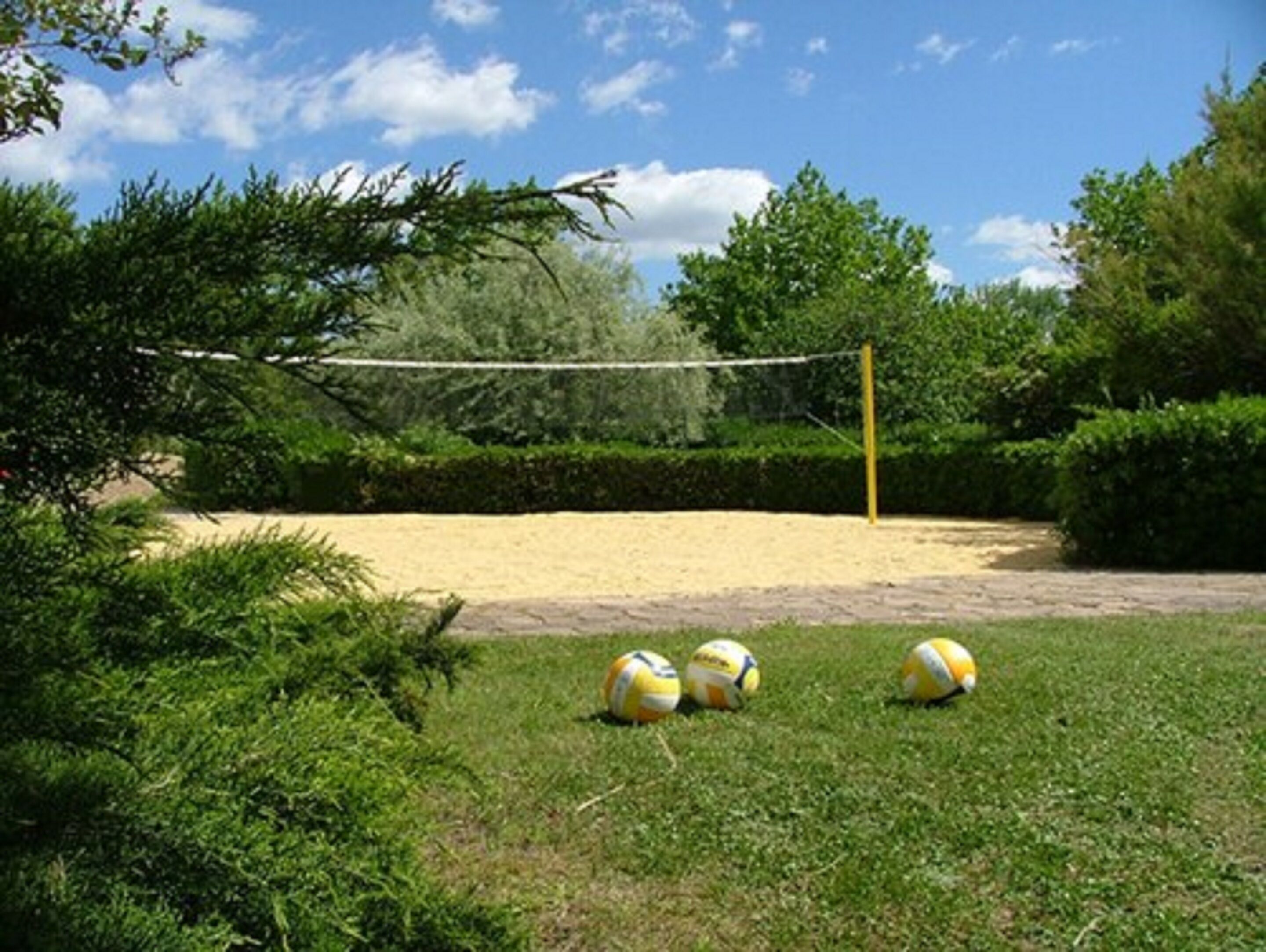 Una cancha de voleibol con red, rodeada de follaje y árboles.