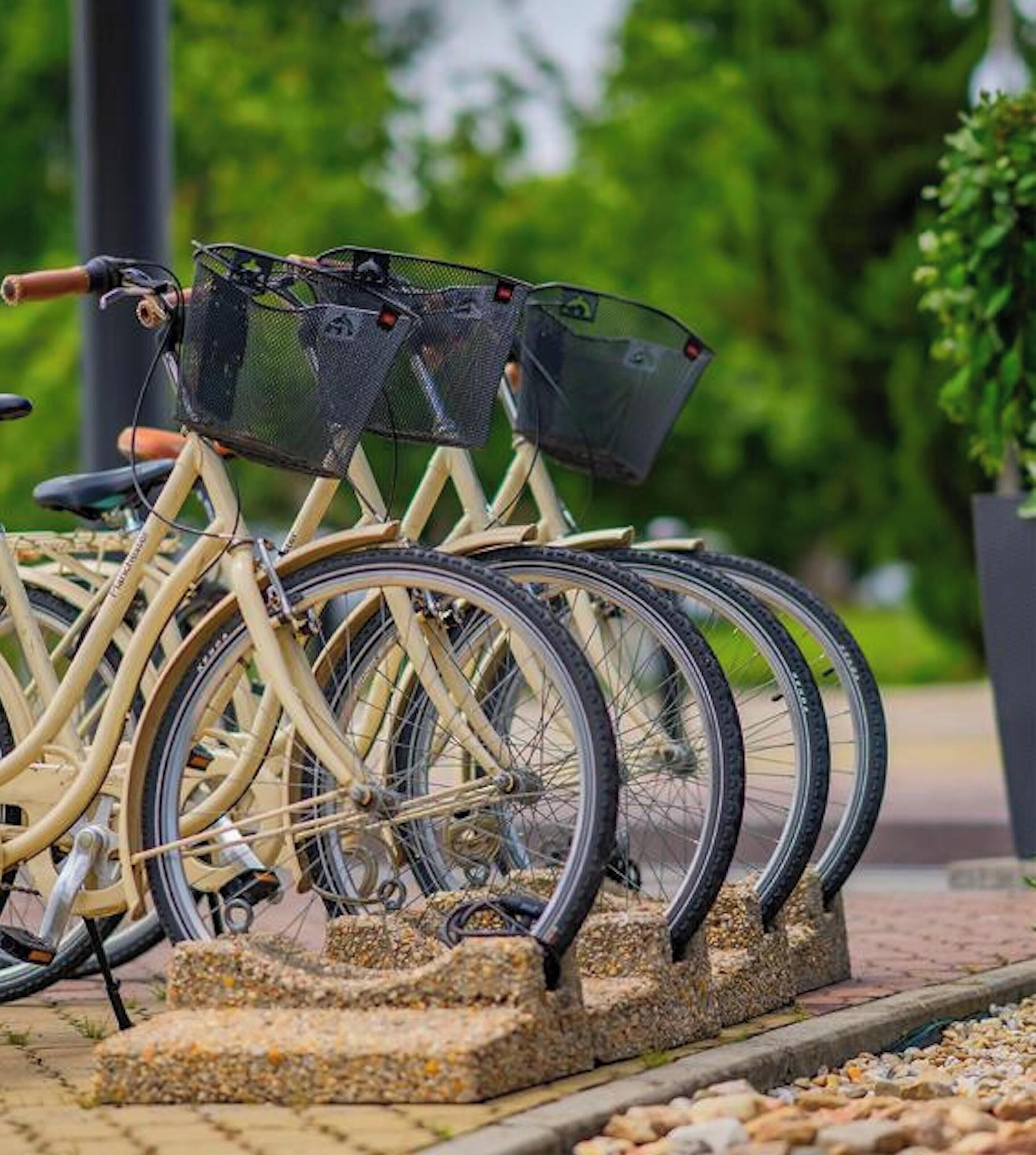 A row of bicycles with baskets, parked on a stone ledge.