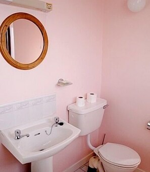 A bathroom with a white sink, a toilet, and a mirror. - Wards Hotel (Galway)