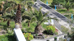 Un jardín ajardinado con palmeras, un sendero de piedra y una pared blanca.
