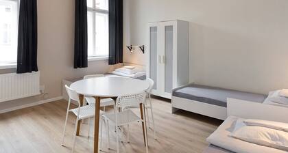 Dizzy Daisy Hostel