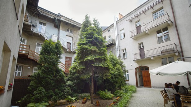 A courtyard with a central tree, flower beds, and a seating area with a tent. - Dizzy Daisy Hostel (Kraków)