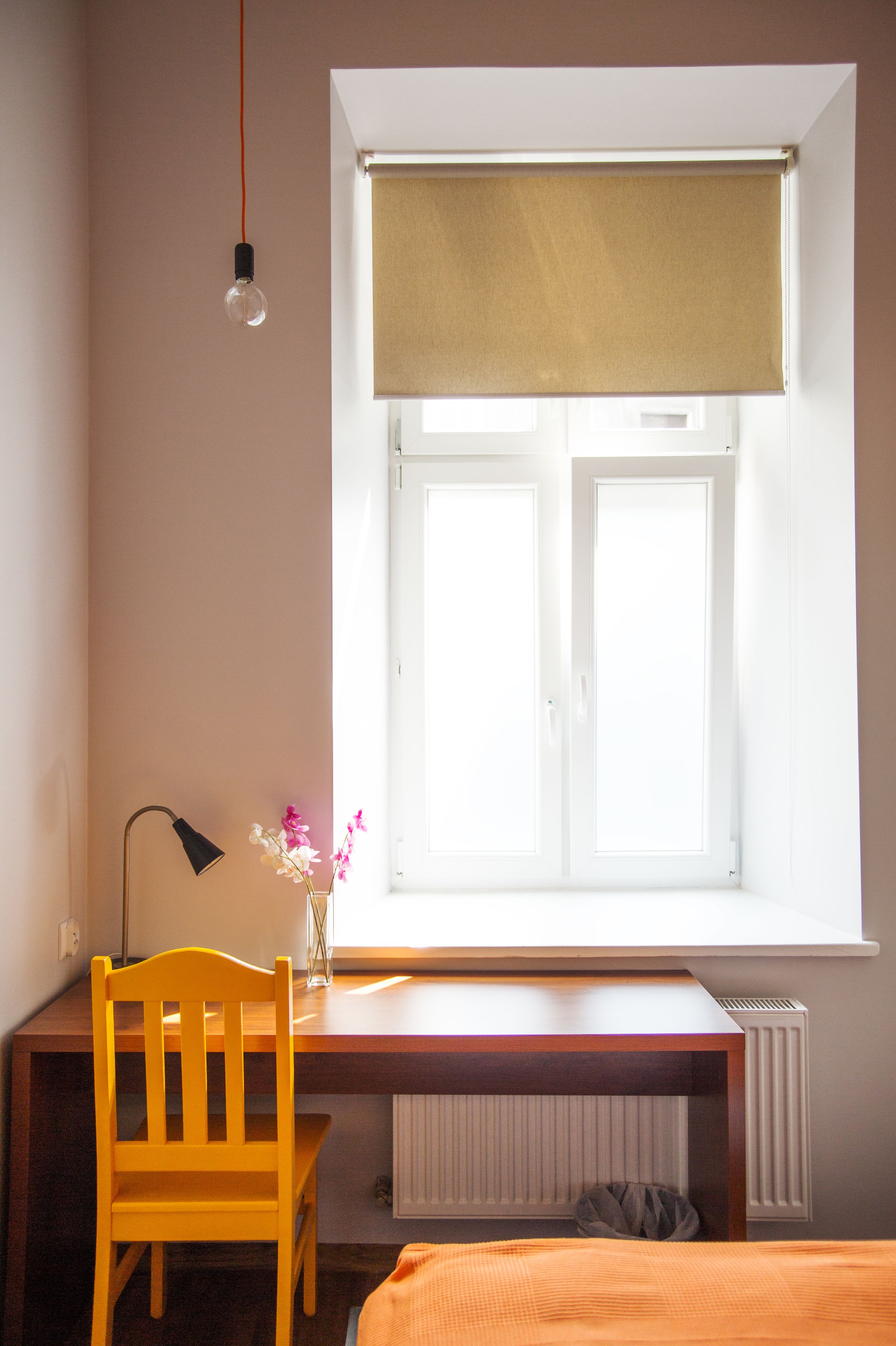 Foto - Dizzy Daisy Hostel