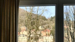 Vista a través de una ventana con cortina, que muestra un río, árboles y edificios al fondo.