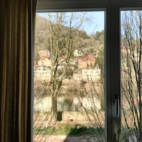 Uitzicht door een raam met gordijn, met een rivier, bomen en gebouwen op de achtergrond.