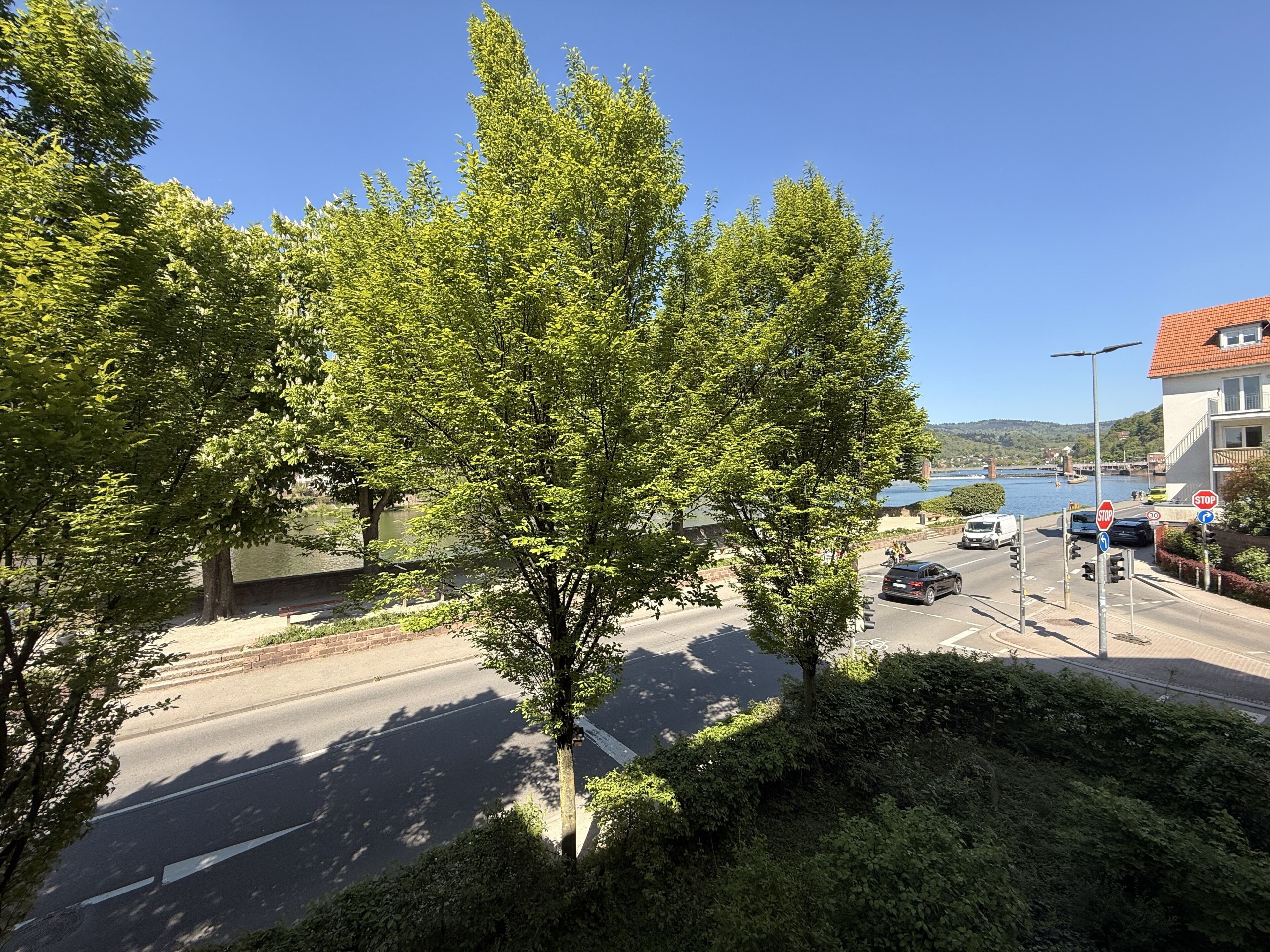 Apartamento Confort | Vistas desde la habitación