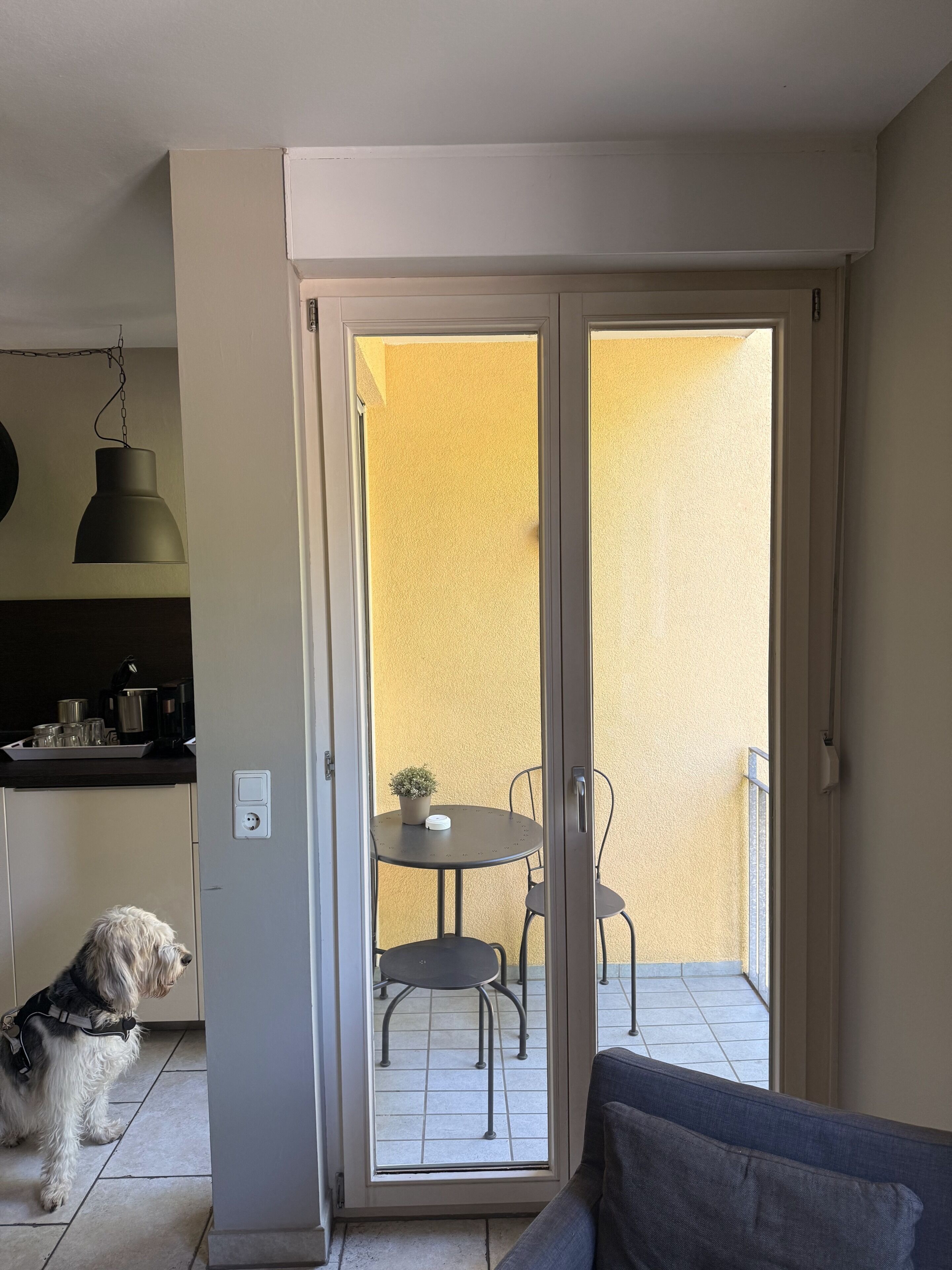 A room with a sliding glass door leading to a balcony with a tiled floor and a potted plant.