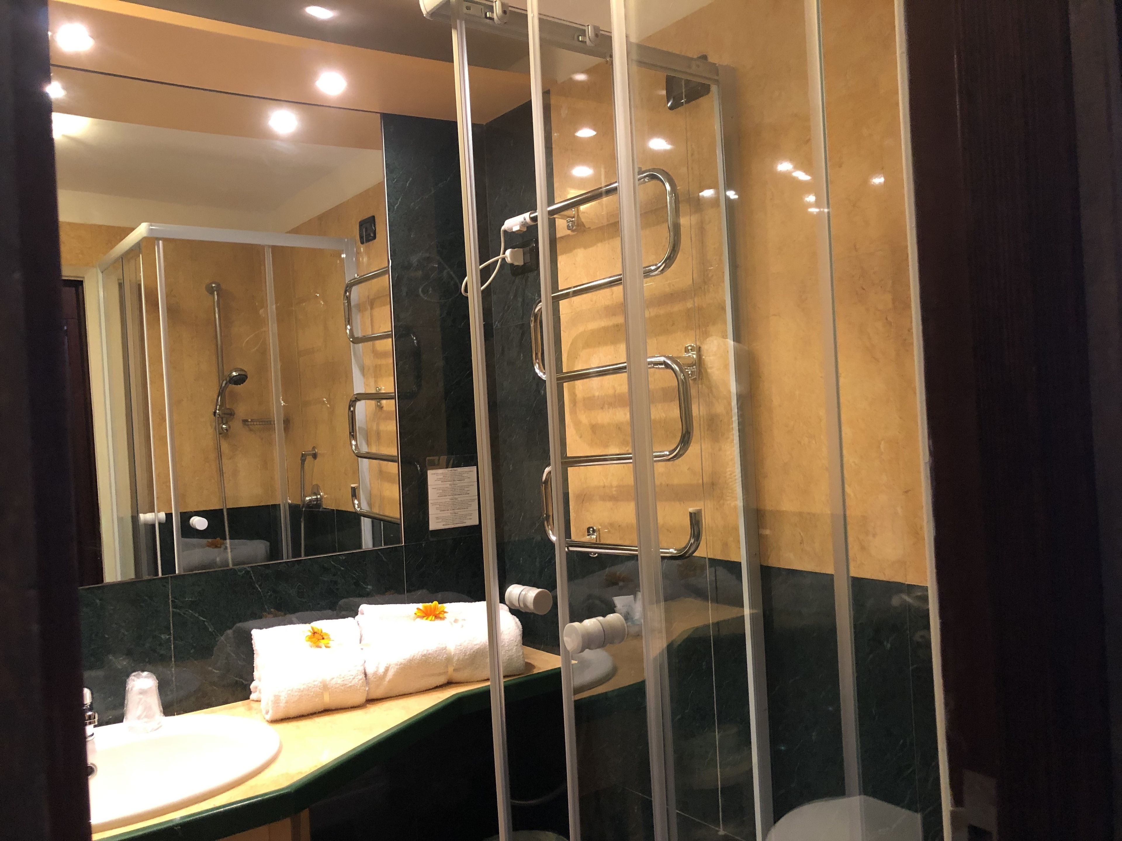 shower, free toiletries, hair dryer, towels