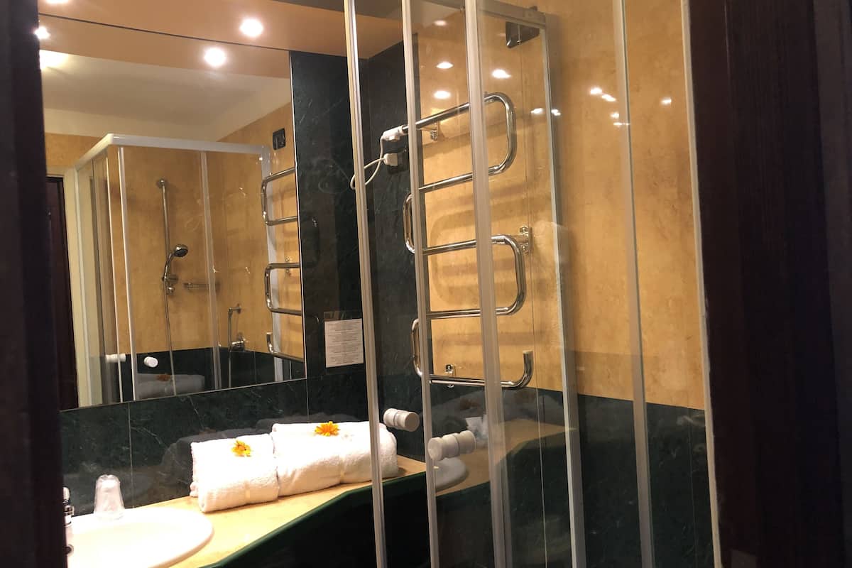 shower, free toiletries, hair dryer, towels