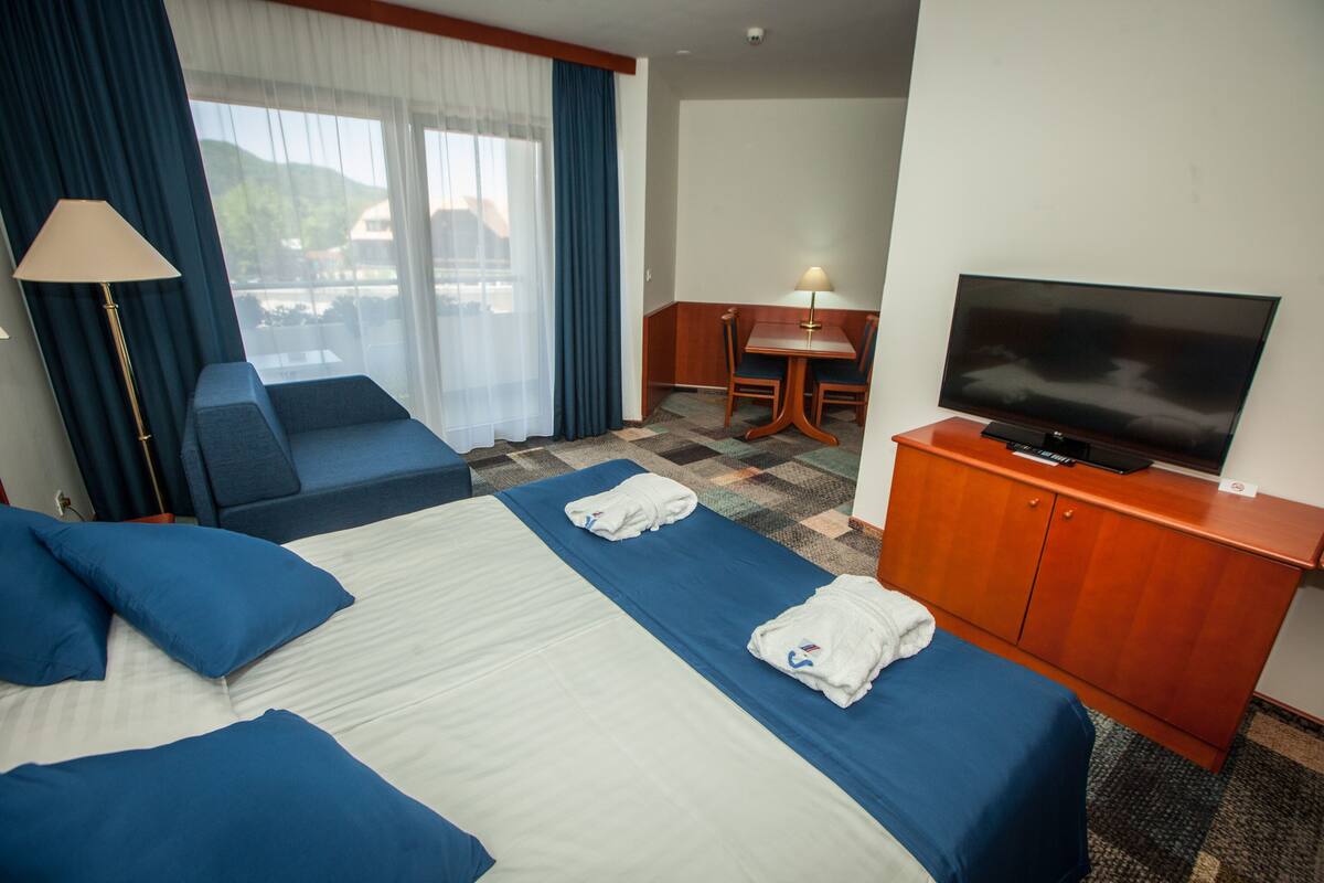 A hotel room with a bed, a TV, a desk, and a view of the outdoors.
