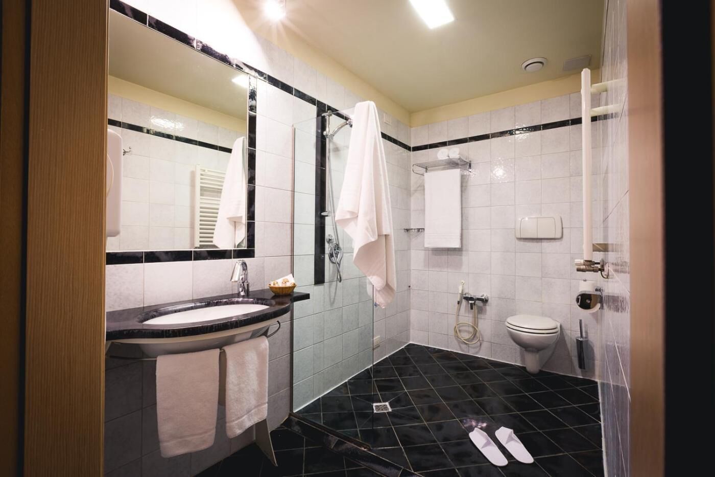 combined shower/bathtub, free toiletries, hair dryer, bidet