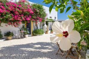 Garden - Rio Arade Manor House (Lagoa)