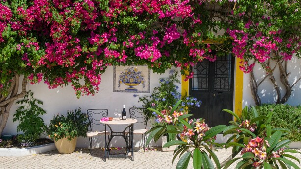 Courtyard - Rio Arade Manor House (Lagoa)