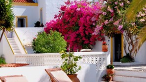 Outdoor pool - Rio Arade Manor House (Lagoa)